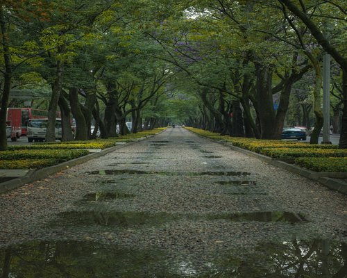 calm walk through a park in Mexico City